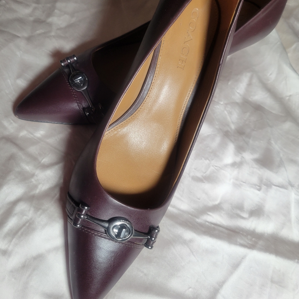 🚩Summer Sake🚩Coach Dark Brown & Silver Buckle Heels